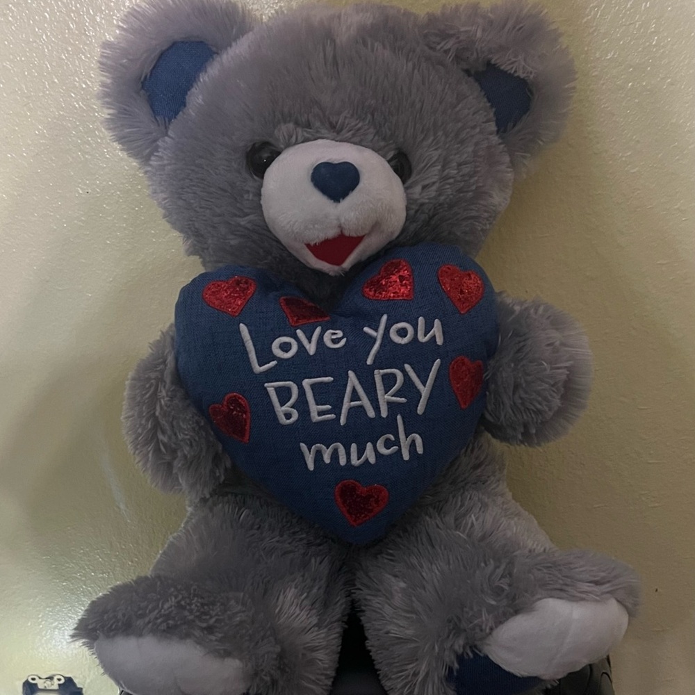 Gray and Blue Teddy Bear with Heart